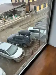 Cedar Grass Териберка - 81