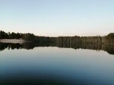 Шап - 45