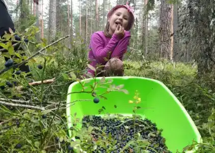 Селигерский хуторок - 16