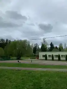 Зелёный остров - 61