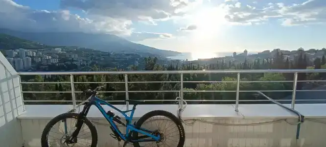 Борода - 27