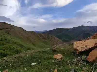 Пение птиц - 29