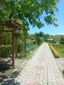 Белый лебедь - 50