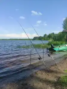 Ровское - 6