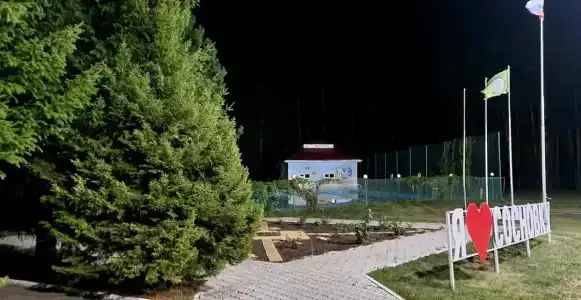 Сосновка - 9