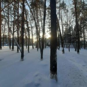 Матвеевский - 16