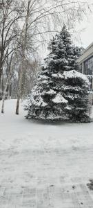 Residence Park - 46