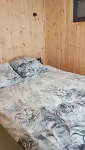 Тайга - 2