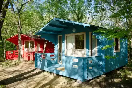 Эколоджия - 1