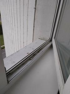 Молодечно - 65