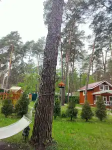 Бунырвилль - 78
