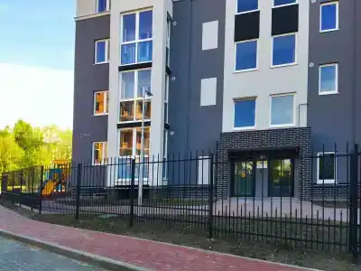 Стоп. Снято! - 24