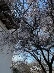 Лангепас - 19