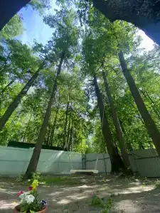 Монте-Карло - 24