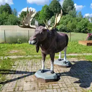 Гостевой дом Полистовского заповедника - 13