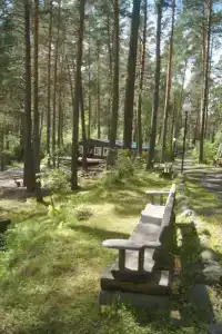 Новый Горизонт - 43
