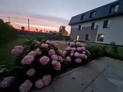 65Home Minihotel - 16
