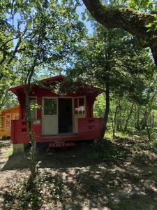 Эколоджия - 80