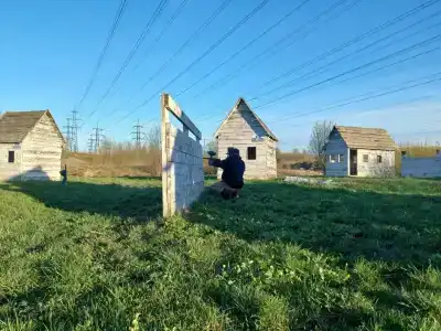Папина дача - 29