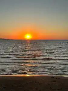 Амбассадор - 4