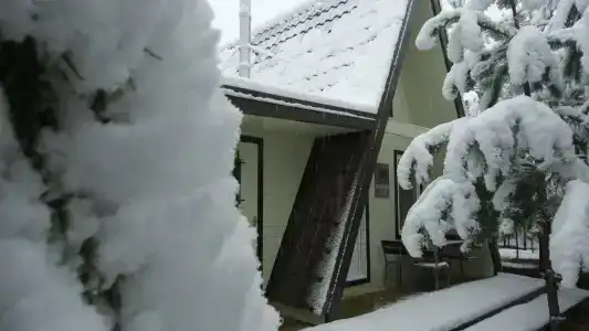 Пчелинцево - 37