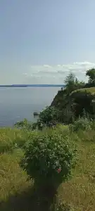 Берег - 41