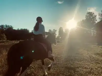 Rayok Barn - 40