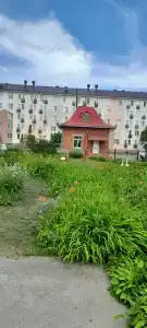 Светлый - 63