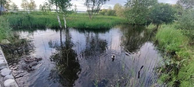 Загородный - 68