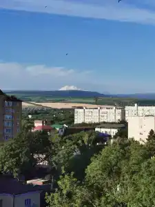 Дон - 99
