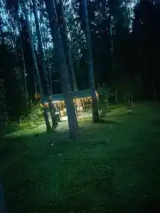 Сосновый берег - 8