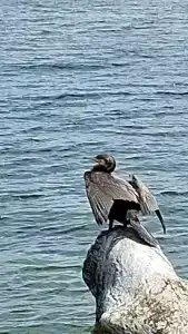 Морское Небо - 32