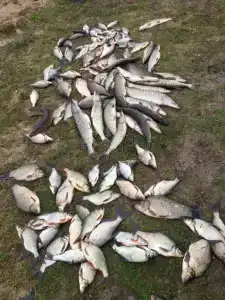 Гагарин Барн - 18