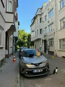 Ottoman Elegance - 27