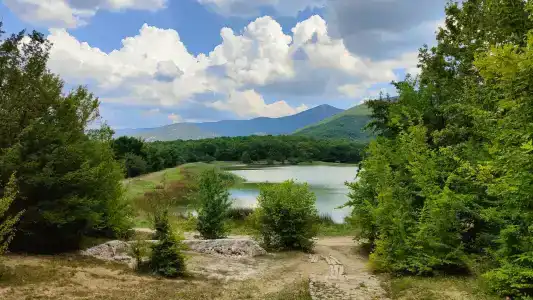Скелепарк - 33