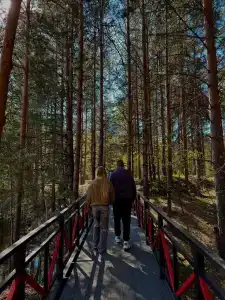 Пайн Хиллс Парк - 20