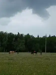 Баллада - 48
