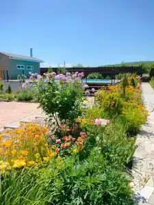 Горный родник - 31