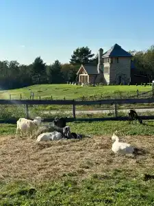 Усадьба Долгорукий - 95