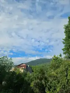 Абазгаа - 33