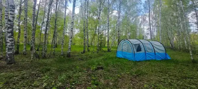 Драйв - 36