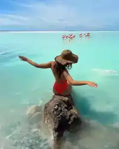 Ай Василь - 7