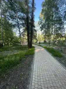 Дошли - 40
