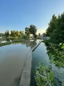 Сазан - 31