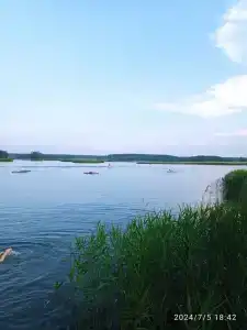 Егория - 8