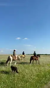 Баллада - 47