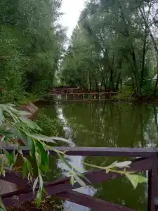 Жемчужина - 34