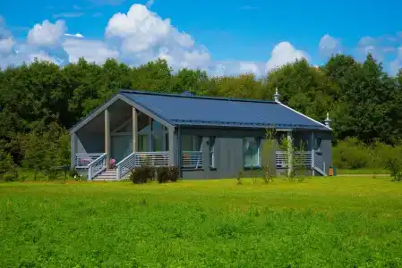 Новое Волосово - 99