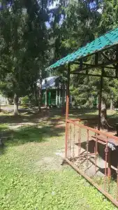 Сосновый берег - 50