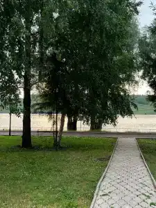 Чайка - 8